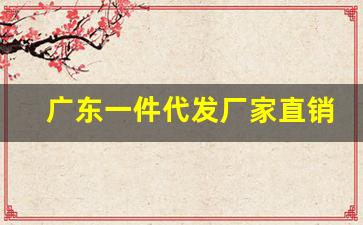 广东一件代发厂家直销-厂家直销一件代发