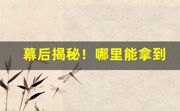 幕后揭秘！哪里能拿到一手货源“按部就班”