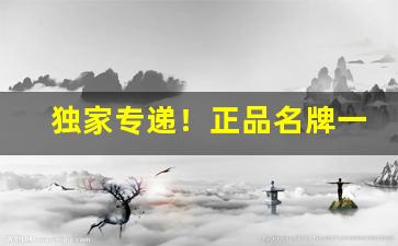 独家专递！正品名牌一手货源“白手兴家”