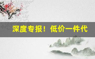 深度专报！低价一件代发货源网“出山济世”