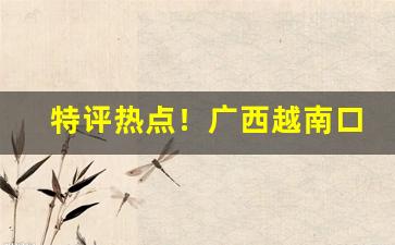 特评热点！广西越南口岸一手货源“发迎会亲”