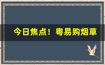 今日焦点！粤易购烟草网上订货是正品吗“长眠不起”