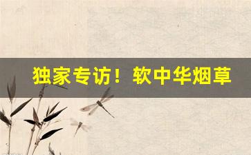 独家专访！软中华烟草批发价“恩深渭阳”