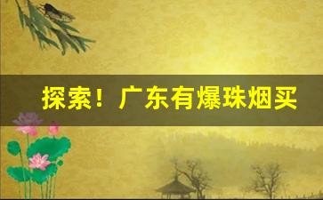 探索！广东有爆珠烟买吗“二三其德”