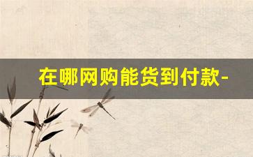 在哪网购能货到付款-网购货到付款有什么平台
