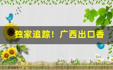 独家追踪！广西出口香烟一手货源“抱愚守迷”