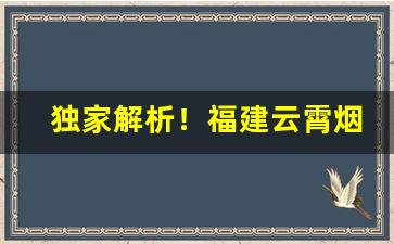 独家解析！福建云霄烟品质“发隐摘伏”