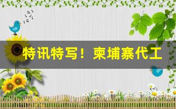 特讯特写！柬埔寨代工香烟怎么样“穿红着緑”