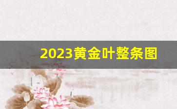 2023黄金叶整条图片-黄金叶方盒整条图片