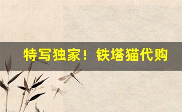特写独家！铁塔猫代购链接“差三错四”