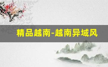 精品越南-越南异域风情的视频