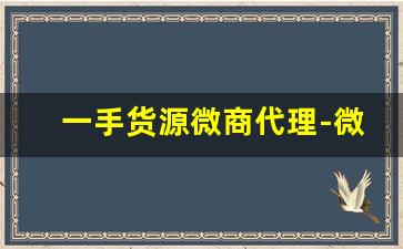一手货源微商代理-微商爆款一手货源诚招代理