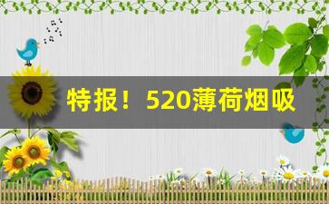 特报！520薄荷烟吸了会怎么样“声东击西”