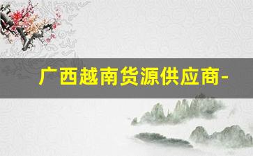 广西越南货源供应商-越南货源批发市场在哪里