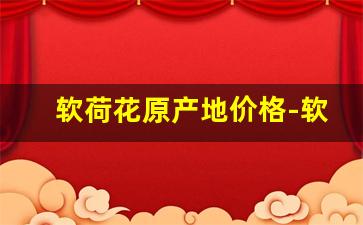 软荷花原产地价格-软荷花全国各地报价