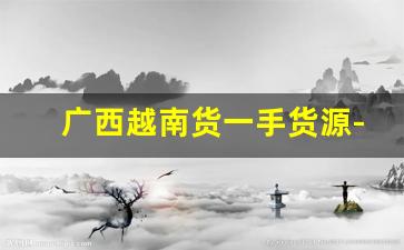 广西越南货一手货源-越南找货源供应商哪里找