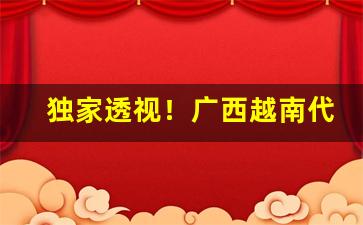 独家透视！广西越南代工香烟批发厂家最新货源“单步负笈”