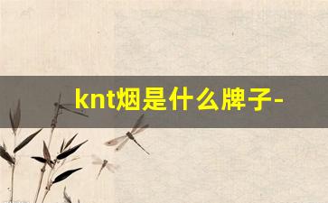 knt烟是什么牌子-vikont哪个国家的烟
