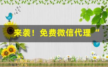 来袭！免费微信代理“耐人寻味”