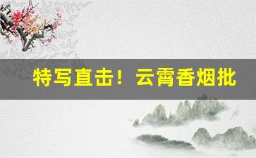 特写直击！云霄香烟批发货源代理“此事体大”