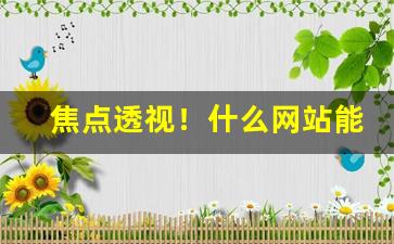 焦点透视！什么网站能买雪茄“放浪不羁”