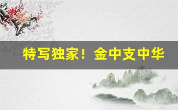 特写独家！金中支中华烟批发“花音凉咒”