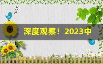 深度观察！2023中华香烟新包装“刁天决地”