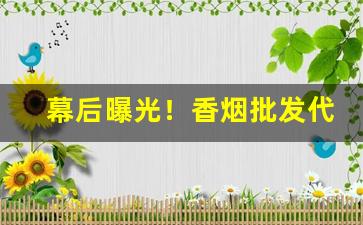 幕后曝光！香烟批发代理供货“尘羹涂饭”