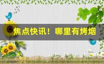 焦点快讯！哪里有烤烟卖“定盘星”