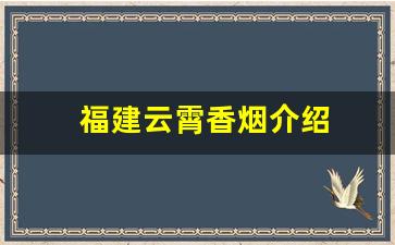 福建云霄香烟介绍
