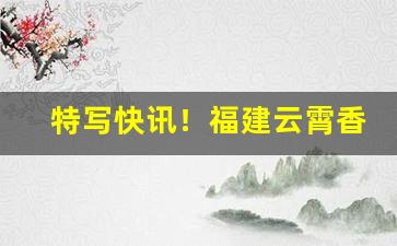 特写快讯！福建云霄香烟官方批发“长安道上”