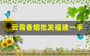 云霄香烟批发福建一手云宵烟多少钱一包？
