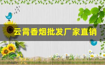 云霄香烟批发厂家直销货源-福建云霄烟批发供应商