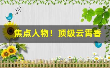 焦点人物！顶级云霄香烟批发联系方式2022“不绝如缕”