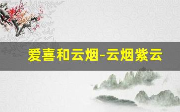 爱喜和云烟-云烟紫云和软珍