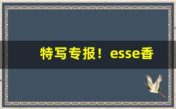 特写专报！esse香烟巧克力味道“慈孙孝子”