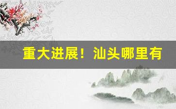 重大进展！汕头哪里有批发香烟的“卑辞重币”