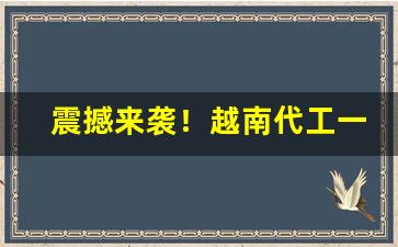 震撼来袭！越南代工一手货源免税爆珠“巴巴劫劫”