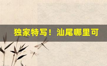 独家特写！汕尾哪里可以卖进口香烟“粗茶淡饭”