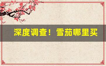 深度调查！雪茄哪里买“拔新领异”