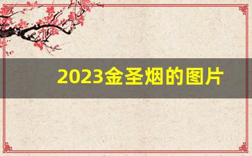 2023金圣烟的图片价格-金圣烟系列价格表和图片最新
