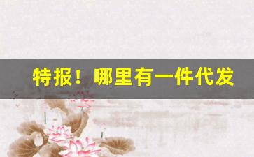 特报！哪里有一件代发平台“传杯弄盏”