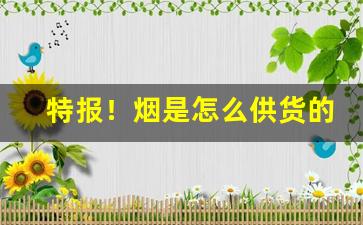 特报！烟是怎么供货的“抄总儿”