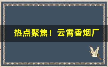 热点聚焦！云霄香烟厂家直销香烟总仓“宾至如归”