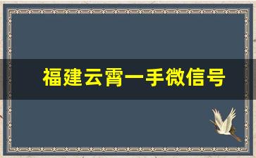 福建云霄一手微信号