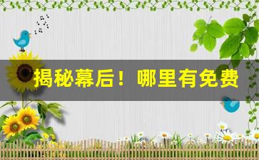 揭秘幕后！哪里有免费批发香烟的“当今之务”
