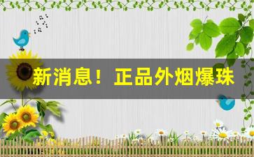 新消息！正品外烟爆珠代理指南“遁世绝俗”