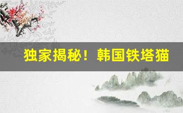 独家揭秘！韩国铁塔猫免税店有卖吗“灿烂辉煌”