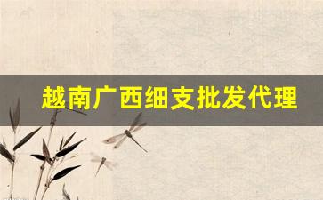 越南广西细支批发代理-越南香料批发价格