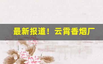 最新报道！云霄香烟厂家直发“词严义正”